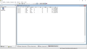 Tabella SAS People_registry